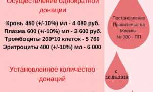 Почетный донор: привилегии и права по закону