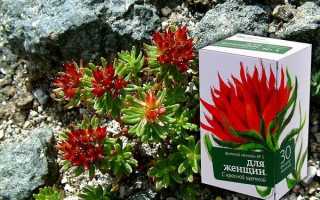 Красная щетка–настоящее спасение при женских заболеваниях