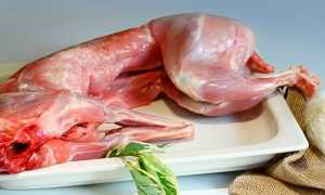 Питание при лямблиозе у взрослых — правила диеты, рекомендованное меню