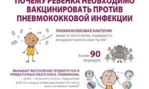 Прививка от пневмококковой инфекции: инструкция для взрослых и детей, реакция и отзывы