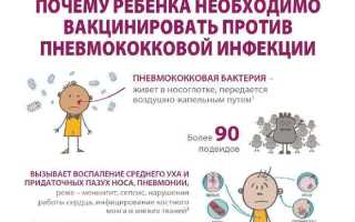 Прививка от пневмококковой инфекции: инструкция для взрослых и детей, реакция и отзывы