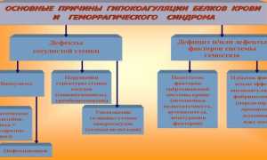 Что такое анализ АЧТВ — норма у взрослых и детей, причины отклонений