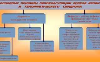 Что такое анализ АЧТВ — норма у взрослых и детей, причины отклонений
