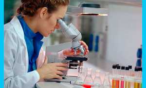 Лецитиновые зерна в секрете простаты