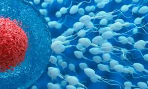 Почему не оплодотворяется яйцеклетка?