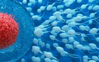 Почему не оплодотворяется яйцеклетка?