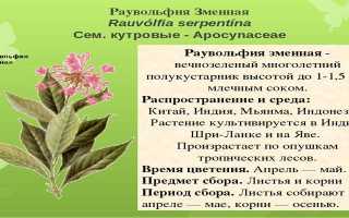 Раунатин – инструкция по применению, показания, дозировка, механизм действия и цена