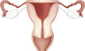 Тонус матки при беременности
