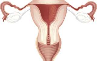 Тонус матки при беременности