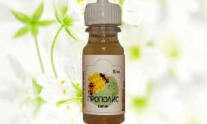 Применение прополиса в традиционной и народной медицине