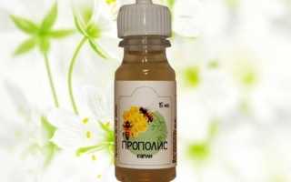 Применение прополиса в традиционной и народной медицине