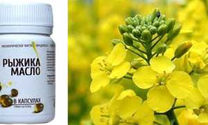 Рыжиковое масло — полезные и лечебные свойства, противопоказания