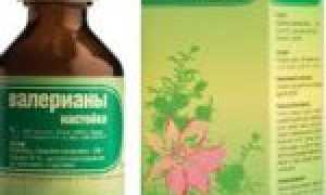 Валерьянка: как принимать и бывает ли передозировка