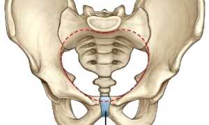 Боль в лобковой кости при беременности