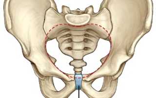 Боль в лобковой кости при беременности