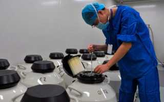 Как происходит перенос эмбрионов после криоконсервации