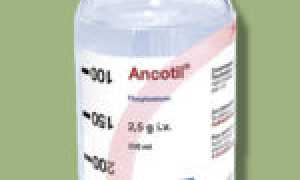 Как и почему в моче может развиться грибок?