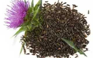 Семена расторопши–лечебные свойства, противопоказания, инструкция по применению