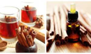 Эффективные способы лечения грибка ногтей на руках народными средствами