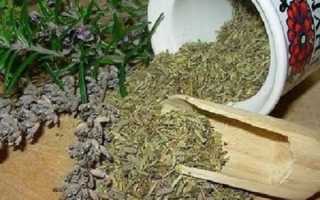 Исландский мох-цетрария:лечебные свойства, показания и противопоказания, особенности применения в народной медицине