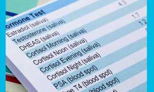 Что такое желтое тело и для чего оно