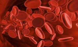 Что такое тромбоциты в крови