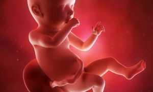 42 неделя беременности, а роды не начинаются