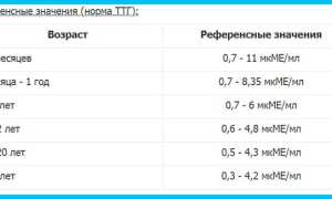Важнейший гормон ТТГ: норма у мужчин по возрасту