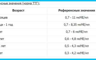 Важнейший гормон ТТГ: норма у мужчин по возрасту