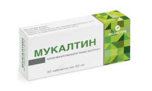 Лечение аллергического бронхита у взрослых: что помогает при аллергии