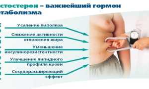 Свободный тестостерон — показатели нормы у мужчин и женщин, причины отклонений, диагностика и способы лечения