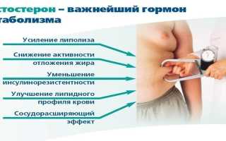 Свободный тестостерон — показатели нормы у мужчин и женщин, причины отклонений, диагностика и способы лечения