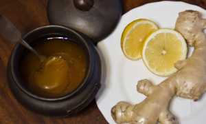 Имбирь: полезные свойства и противопоказания