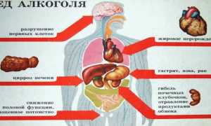 Влияние алкоголя на потенцию — как зависит мужское либидо от спиртного и восстановление эректильной функции