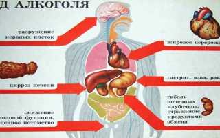 Влияние алкоголя на потенцию — как зависит мужское либидо от спиртного и восстановление эректильной функции