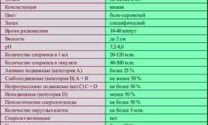 Спермограмма: норма и что влияет на показатели