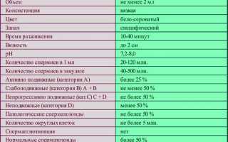Спермограмма: норма и что влияет на показатели