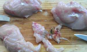 Паразиты в мясе животных и птиц