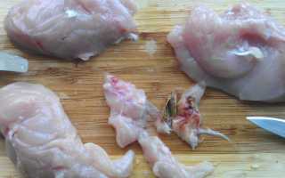 Паразиты в мясе животных и птиц