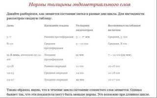 Какая толщина эндометрия при гиперплазии опасна?
