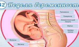 Третий скрининг при беременности — показания и сроки проведения