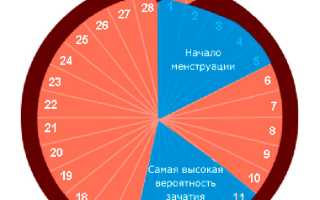 Вероятность беременности: лучшие моменты для зачатия