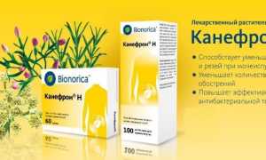 Канефрон при беременности: инструкция, отзывы