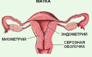 Тонус матки без беременности — миф или реальность?