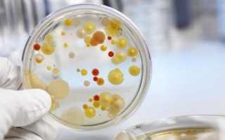 Диагностика вирусного гепатита С — первые признаки и проявления