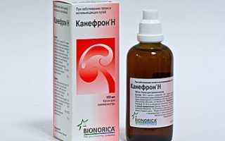 Канефрон при беременности