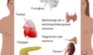 Причины, по которым молочница возвращается после лечения