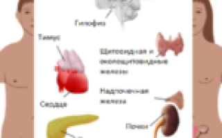 Причины, по которым молочница возвращается после лечения