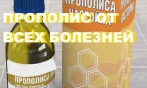 Эффективна ли настойка прополиса на спирту от грибка ногтей?