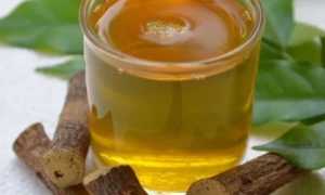 Полезные свойства солодки, способы применения и противопоказания